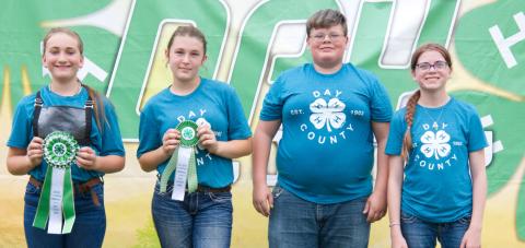 Junior sheep showmanship placers at the Day County Fair Aug. 8 are, from left, grand champion Cora Larson, reserve champion Kenlee Hommel, third place Jacob Powell and fourth place Cheyenne Powell. Reporter &amp; Farmer | Leyton Beardslee