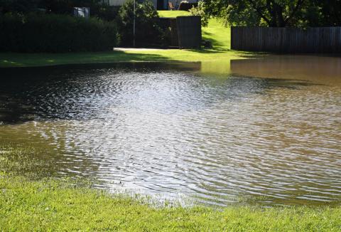 A lot on the corner of W. Eighth Ave. and W. Seventh St. in Webster was flooded after an overnight storm rolled through Aug. 14, bringing an estimated 3.5 inches in Webster. Reporter &amp; Farmer | Leyton Beardslee