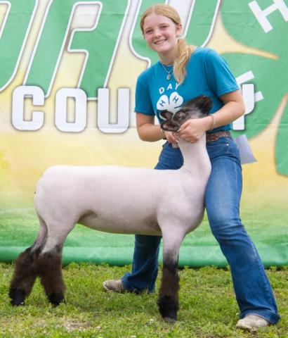 Mackenzie Atherton, pictured with her grand champion breeding ewe, also won reserve champion breeding ewe, reserve overall champion market lamb and overall grand champion market swine at the Day County Fair Aug. 8. Reporter &amp; Farmer | Leyton Beardslee