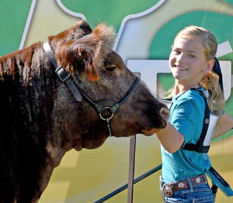 Ava Larson poses with her reserve grand champion breeding heifer Aug. 9 during the Day County Fair. Reporter &amp; Farmer | Amanda Dulitz