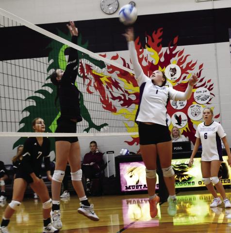 Waubay-Summit Mustangs faced off against Aberdeen Christian Knights Sept. 24, which resulted in a 0-3 loss for the Mustangs. Here, Katie Snyder (1) attempts to tip the ball over the net, with her teammate Caley Boik (6) in the background.