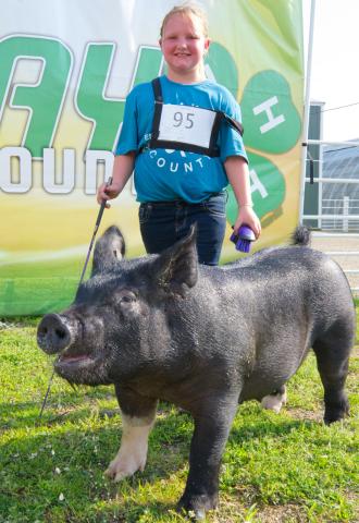 Holly Zubke won overall grand champion breeding swine at the Day County Fair Aug. 7. Reporter &amp; Farmer | Leyton Beardslee