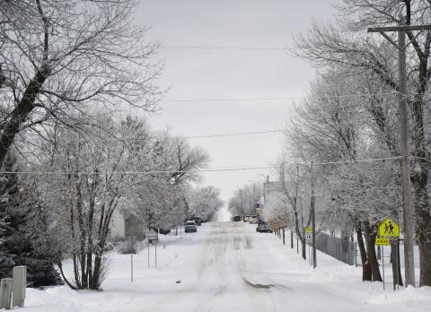 A small coating of snow fell Nov. 27. Here, the freshly made tire marks are on display as cars and trees are lightly dusted with snow on E. 7th Ave., Webster. Reporter &amp; Farmer | Brenner Cariveau