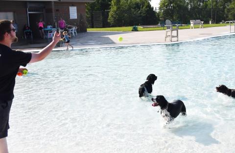 Webster resident Brandon Eisenbraun throws a tennis ball for his three dogs Mia, Chloe and Chester Aug. 17 for the Soggy Dog Days at the Webster Aqautic Center. Celebrating the end of the pool season, dogs were able to swim in the pool which was a free will donation event with all proceeds going to the Webster Paws Walk Dog Park. Reporter &amp; Farmer | Brenner Cariveau