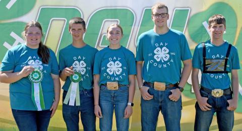 Senior showmanship winners for 4-H dairy goat were, from left, grand champion Kayla Fischer, reserve grand champion Knute Hemmingson, Macee McGregor, Blaise McGregor and Levi Hemmingson. Reporter &amp; Farmer | Amanda Dulitz