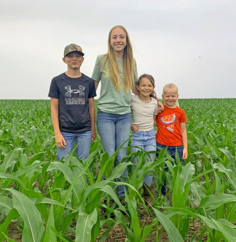 An adage as old as time itself states corn ought to be knee-high by the Fourth of July. Even with many area farmers getting a late start on planting due to weather-related slow-downs, most corn in the area seems to be at least living up to that saying. Here, the children of rural Webster farmers Steve and Natalie Kuecker stand among a field of their father’s crop. From left are Bennett, 12, Kinsey, 14, Ada, nine and Lucy, six. This picture was taken June 27. Reporter &amp; Farmer | Amanda Dulitz
