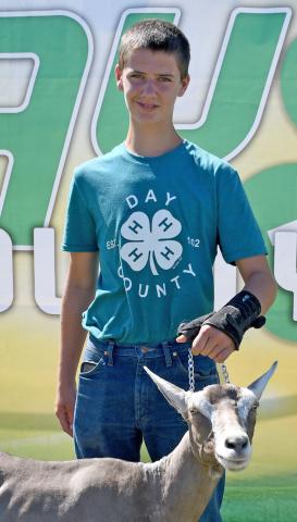 Reserve grand champion dairy goat was Knut Hemmingson during the Day County Fair Aug. 9. Reporter &amp; Farmer | Amanda Dulitz
