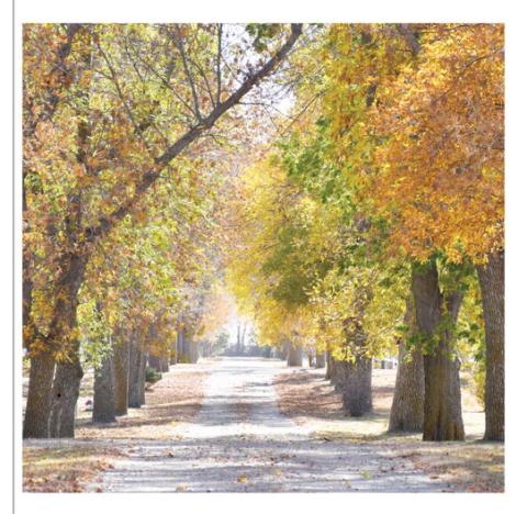 Leaves have begun to change color and fall off the trees at the Webster Cemetery Oct. 17. The leaves throughout Day County are now a wide range of colors spanning from red, yellow, orange and of course brown as the weather slowly creeps into the winter season.