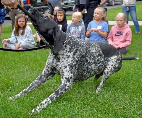 (Above) Hattie Miller, Knox Baumgarn, Adalynn Letcher, Elsie Zubke and Hayden Letcher watch as Harry the drug dog works. This was a part of the second annual Thrivent safety event. Reporter &amp; Farmer | Annie Witt