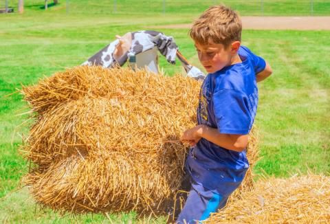 Jackson Sandal hoists a straw bale during the fittest farmer contest at Eden Days June 28. He competed with his mother Jennifer Sandal both of Eden. See more photos throughout. Reporter &amp; Farmer | Leyton Beardslee