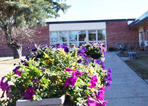 The flowers at Bethesda Home in Webster are still vibrant and full of life as of Oct. 25 with the end of of October nearing and temperatures steadily declining. Reporter &amp; Farmer | Brenner Cariveau