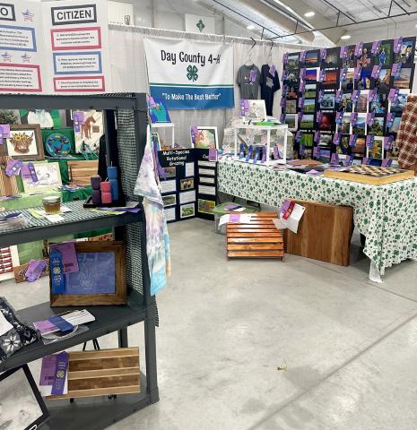 Day County 4-H members earned 120 ribbons for their South Dakota State Fair display exhibits. Pictured is the Day County booth in Norby Hall on the fairgrounds in Huron. Reporter &amp; Farmer | Subscriber snapshot