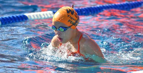 Penny Rencountre age 11 of Webster Swim Team competes in the mixed 12 and under 100 yard individual medley during the Webster Fun Meet at the Webster Aquatic Center July 8. Reporter &amp; Farmer | Leyton Beardslee