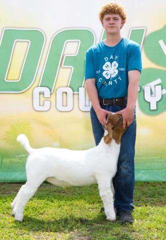 Delaney Atherton, pictured with his grand champion market goat, also won grand champion breeding goat and reserve champion breeding goat Aug 8 at the Day County Fair. Reporter &amp; Farmer | Leyton Beardslee