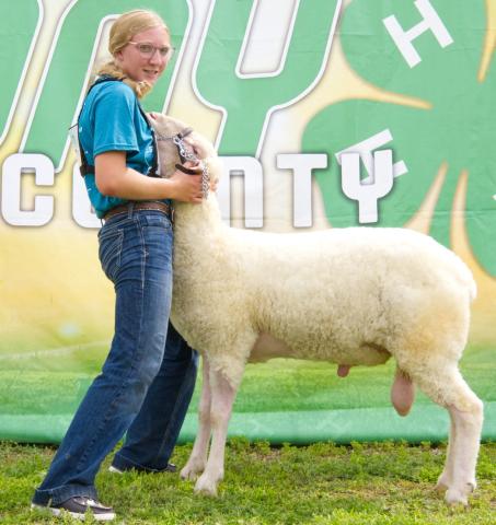 Brooke Meland won grand champion ram at the Day County Fair Aug. 8. Reporter &amp; Farmer | Leyton Beardslee