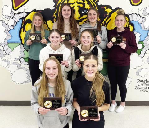 Webster Area volleyball receives team awa rds