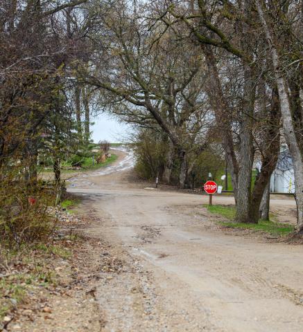 Scenic Avenue at Pickerel Lake
