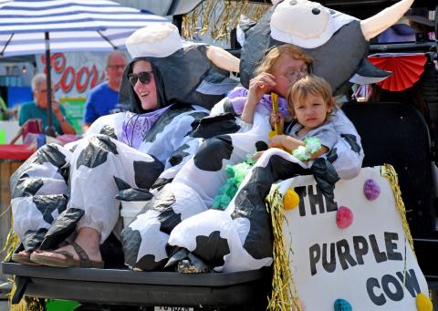 Representing the Purple Cow during the Waubay Fun Fest parade were Rhianna Jorgenson, Lillian Hodge and William Hodge III. Reporter &amp; Farmer | Amanda Dulitz