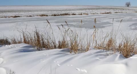 Day County has been experiencing temperatures consistently below zero spanning Feb. 17-21, but cold temperatures do not stop movement of local wildlife. Here, alongside the intersection near 143rd St. and 433rd Ave. tracks are visible in the snow drifts. Reporter &amp; Farmer | Brenner Cariveau