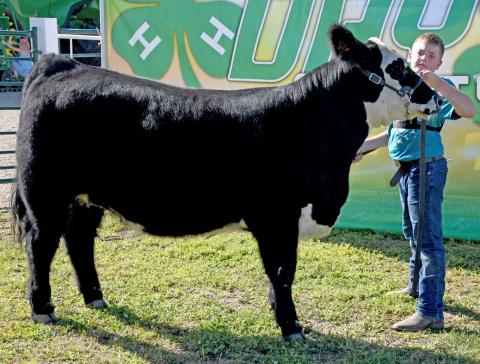 Isaac Ogren poses with his grand champion breeding heifer during the Day County Fair Aug. 9. Reporter &amp; Farmer | Amanda Dulitz