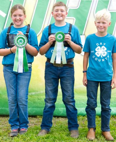 Beginner goat showmanship winners at the Day County Fair Aug. 8 are, from left, grand champion Julia Ogren, reserve champion Isaac Ogren and third place Corbin Huffman.