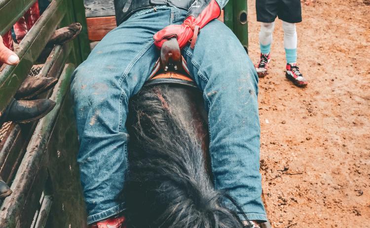 Hawk Hill begins his junior bareback riding attempt during the Waubay Roundup rodeo June 14. Hill finished first in the event with a score of 68. Reporter &amp; Farmer | Leyton Beardslee
