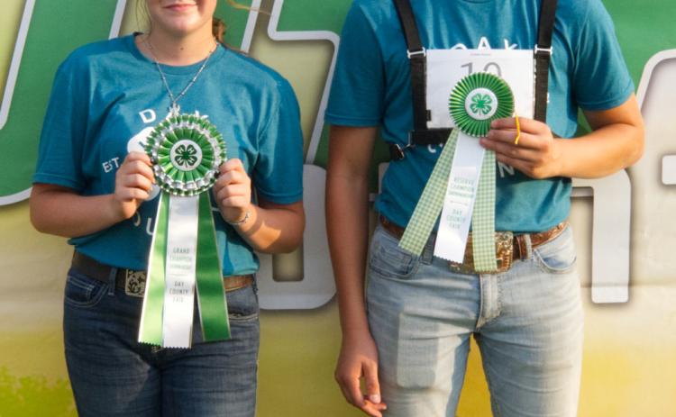 Junior swine showmanship placers at the Day County Fair are, from left, grand champion Karsyn Gaikowski and reserve champion Aiden Gaikowski. Reporter &amp; Farmer | Leyton Beardslee