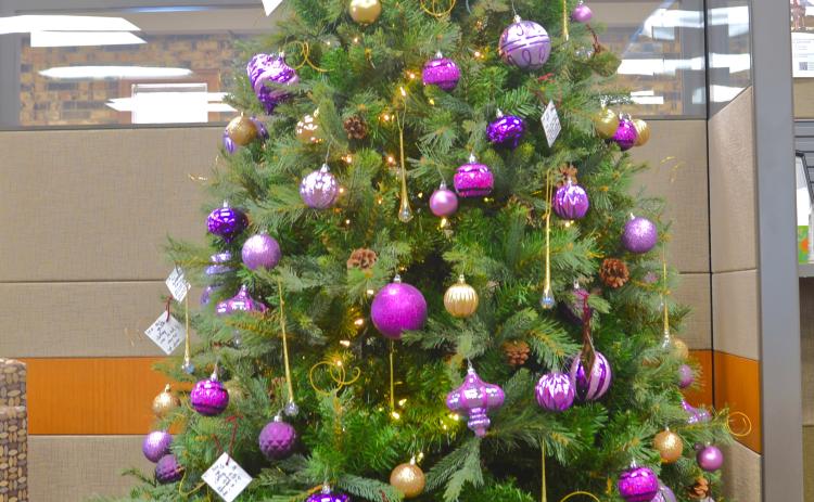 Dacotah Bank, CorTrust Bank and First Interstate Bank are participating in the 30th annual Spirit of Christmas taking place in December. Participants choose a tag and then donate a present for less fortunate children in the Webster area. Reporter &amp; Farmer | Connor Handrahan