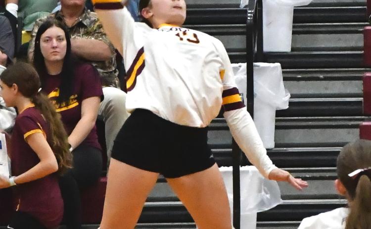 Webster volleyball sophomore Quinn Matthews winds up for a fierce attacking shot against Hamlin High School Sept. 25 at the Armory. The lady Bearcats ultimately lost the match in three sets. Reporter &amp; Farmer | Timothy Gibson