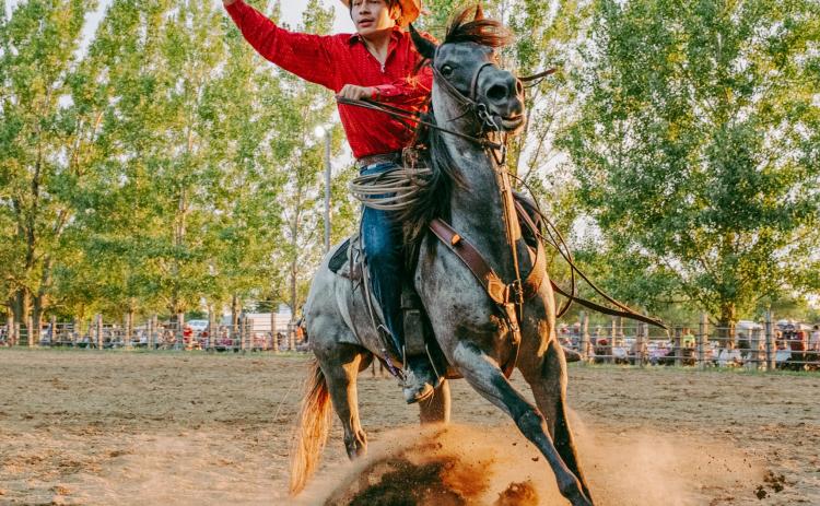 Lyndon Bluedog of Waubay competes in the sorting event with his team War Party at the ranch rodeo during the Day County Fair Aug. 8. The competition holds four main events, team sorting, team doctoring, team penning and a trailer relay. Reporter &amp; Farmer | Leyton Beardslee