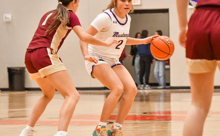 Addison Bronson (2) of Waubay/Summit Mustangs looks for an opening during the Mustangs 42-57 loss to Milbank Bulldogs Jan. 20 in Summit. The loss was Waubay/ Summit’s first since Dec. 20 and moved them to a season record of 8-2. Reporter &amp; Farmer | Leyton Beardslee