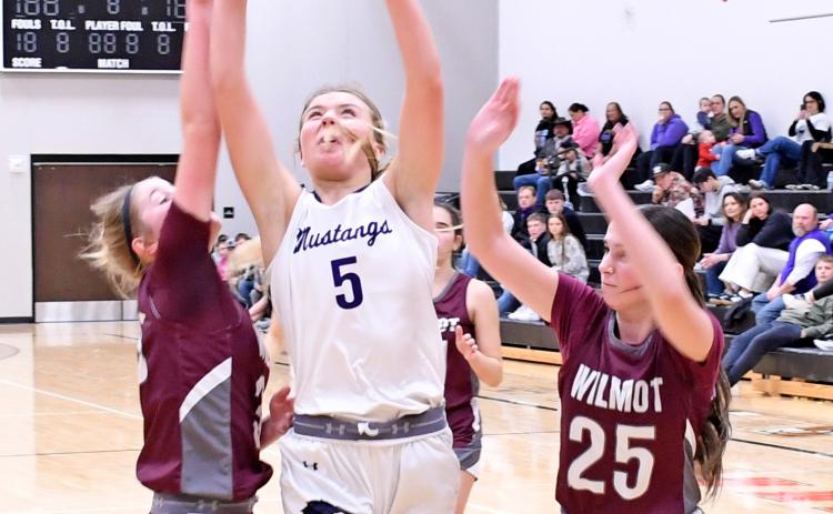 Waubay/Summit Mustang Liza Purdy goes up for a basket Jan. 11 against the Wilmot Wolves in a double header at Summit. No stats were made available for the game by press deadline. The Mustangs won 61-57. Reporter &amp; Farmer | Robert Dulitz