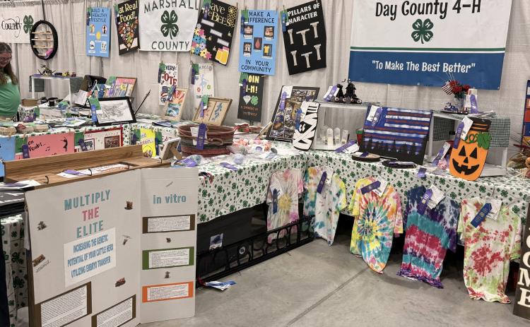 DAY COUNTY 4-H displayed their exhibits at the State Fair in Nordby Hall. The fair opened Sept. 1 and runs through Sept. 7. Subsciber Snapshot