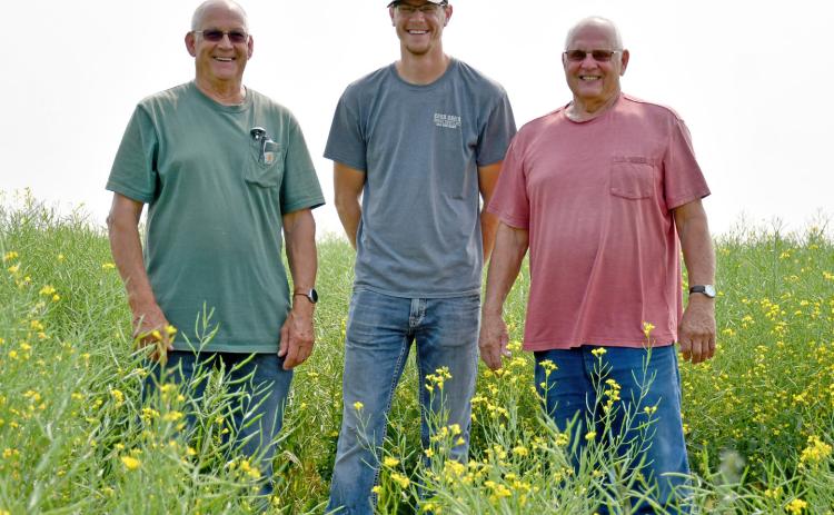 Standing in one of their fields of canola are Glenn Flattum, Gannon Florey and Butch Flattum in rural Bristol. Reporter &amp; Farmer | Annie Witt