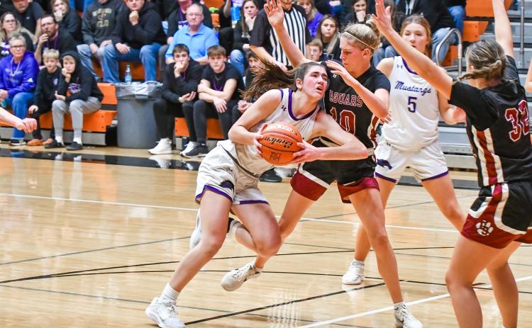 Addison Heinje of Waubay/Summit drives into Braylee Brodewyk of Corsica-Stickney during the Mustang’s 32-38 SoDak 16 loss to the Jaguars March 5 in Huron. Heinje totaled 13 points and 11 rebounds in the defeat. See more SoDak 16 photos on page 9. Reporter &amp; Farmer | Leyton Beardslee