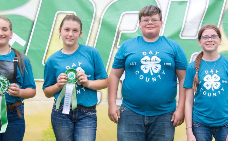 Junior sheep showmanship placers at the Day County Fair Aug. 8 are, from left, grand champion Cora Larson, reserve champion Kenlee Hommel, third place Jacob Powell and fourth place Cheyenne Powell. Reporter &amp; Farmer | Leyton Beardslee