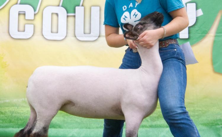 Mackenzie Atherton, pictured with her grand champion breeding ewe, also won reserve champion breeding ewe, reserve overall champion market lamb and overall grand champion market swine at the Day County Fair Aug. 8. Reporter &amp; Farmer | Leyton Beardslee