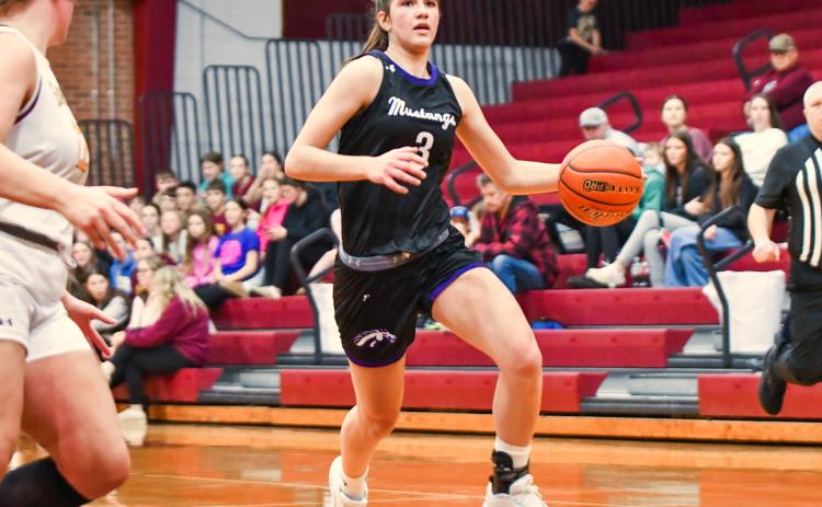 Addison Heinje (3) of Waubay/Summit Mustangs looks to score during the Mustangs 62-40 victory over Webster Area Bearcats Jan. 12 in Webster. Heinje finished with a 22 point, 12 rebound double-double in the win. Reporter &amp; Farmer | Leyton Beardslee