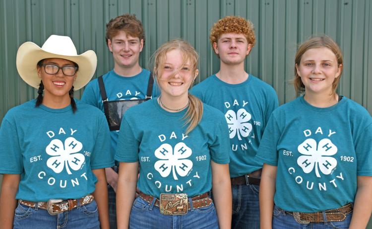 Large animal round robin participants were, from left, Cante Hill, Caleb Gaikowski, grand champion Mackenzie Atherton, Delaney Atherton and Makayla Meland. 4-Hers took turns showing at five different animal stations to showcase their skills with different speices. Reporter &amp; Farmer | Amanda Dulitz