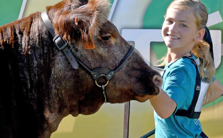 Ava Larson poses with her reserve grand champion breeding heifer Aug. 9 during the Day County Fair. Reporter &amp; Farmer | Amanda Dulitz