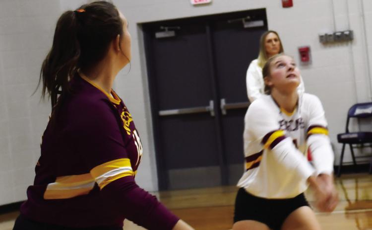 Webster Area volleyball finished off their regular season in a contest against the Waubay-Summit Mustangs. The Bearcats cruised to a victory in three sets. Here, Jersey Johnson (4) loads up to hit the ball while her teammate Carrington Hanson (14) is watching closely to potentailly spike the ball. Reporter &amp; Farmer | Brenner Cariveau