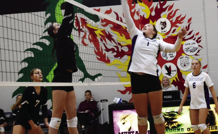 Waubay-Summit Mustangs faced off against Aberdeen Christian Knights Sept. 24, which resulted in a 0-3 loss for the Mustangs. Here, Katie Snyder (1) attempts to tip the ball over the net, with her teammate Caley Boik (6) in the background.