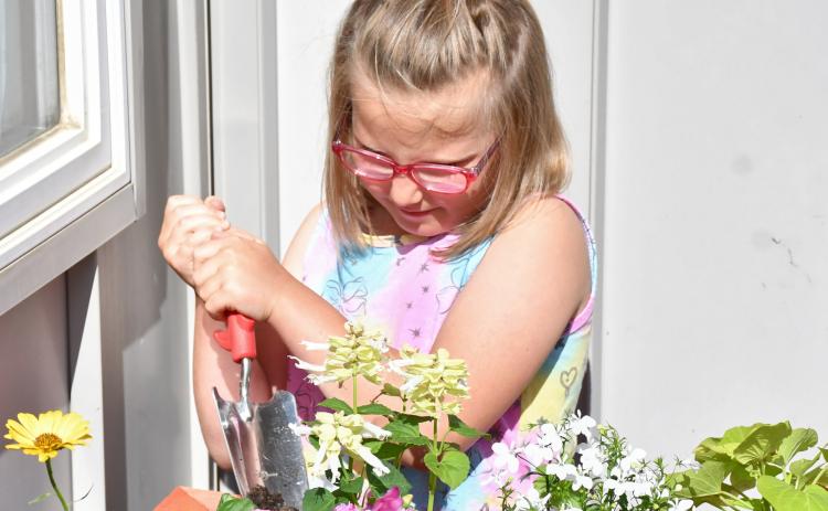 Beatrix Howe helps plant flowers outside the Webster Public Library May 28 in conjunction with the start of the library’s summer reading program which has a “Color Our World” theme. The program is for kindergarten through sixth grade and will run through the end of June. Reporter &amp; Farmer | Leyton Beardslee