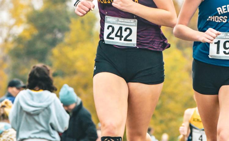 Webster Area cross country runner Hannah Sonstebo competes in the SDHSAA Class A State cross country meet Oct. 25 in Huron. Coach Cheryl McCreary reported Sonstebo crossed the line 101st in 22:29 for the girls 5k but was disqualified for grabbing hands and raising them with another competitor as they crossed the line. Reporter &amp; Farmer | Leyton Beardslee