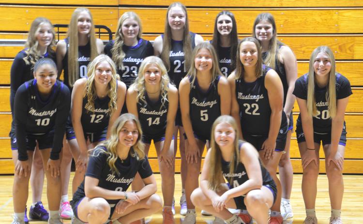 Waubay/Summit girls varsity basketball team members, are from back left, Addison Bronson, Elise Aker, Callie Miller, Mackenzie Zubke, Addison Heinje and Avery Bronson. Middle, from left, Nevaeh Edwards, Caley Boik, Kayce Berger, Liza Purdy, Sage Gaikowski and Airianna Benthin. Front, from left, Addison Bronson and Brynlee Amdahl. Reporter &amp; Farmer | Connor Handrahan