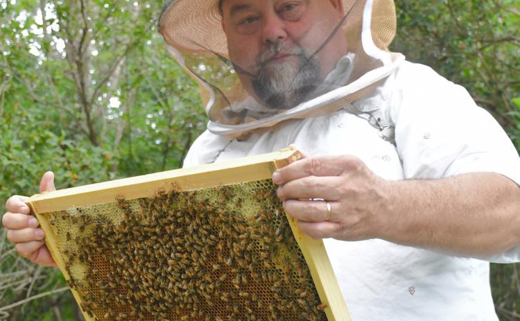 Webster hobbyist beekeeper Clark Audiss holds a frame of honeycomb from one of his bee boxes around Webster July 15. This year was Audiss’ first time having his own hives, though as a kid his first job was at an apiary as a honey extractor. Reporter &amp; Farmer | Leyton Beardslee