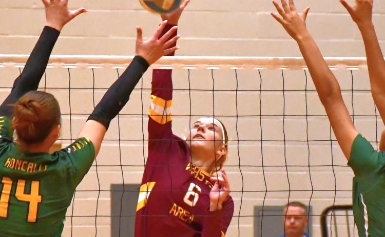 Madison Block (6) gets a hit during Webster Area’s 1-3 loss to Aberdeen Roncalli in a Class A Region 1 semifinal match Nov. 6 in Groton. Set scores for the match were 28-26, 24-26, 20-25 and 16-25. Reporter &amp; Farmer | Connor Handrahan