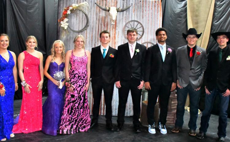 Waubay student council members Sage Gaikowski ninth grade, Kayce Berger 11th grade, Megan Christensen 12th grade, Caley Boik 10th grade, Witten Butler 10th grade, Nolan Thuringer 12th grade, Traveion Neilan 12th grade, Tripp Gaikowski 11th grade and Teegan Gaikowski 11th grade, pose for a picture at Waubay High School’s prom April 25. Reporter &amp; Farmer | Leyton Beardslee