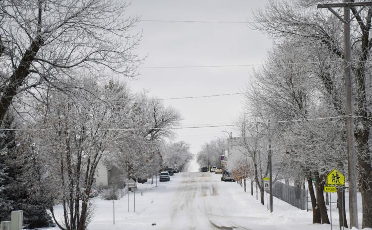A small coating of snow fell Nov. 27. Here, the freshly made tire marks are on display as cars and trees are lightly dusted with snow on E. 7th Ave., Webster. Reporter &amp; Farmer | Brenner Cariveau