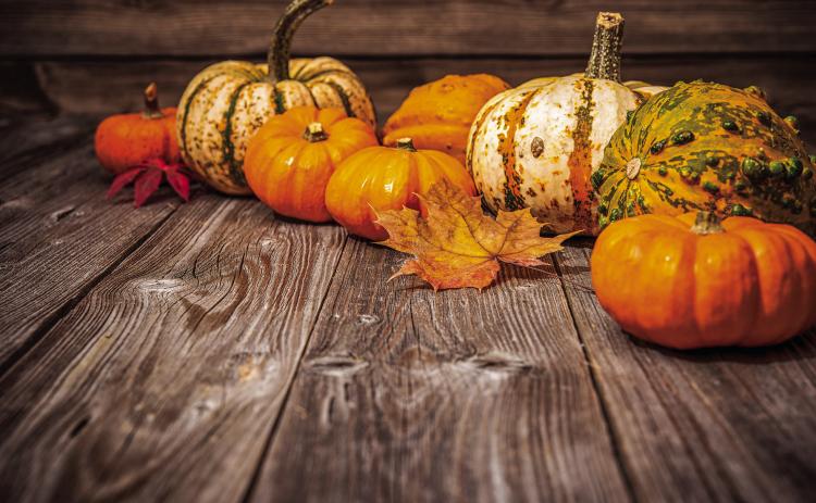 Pumpkin Fest returns for 26th year of autumn themed fun